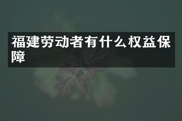 福建劳动者有什么权益保障
