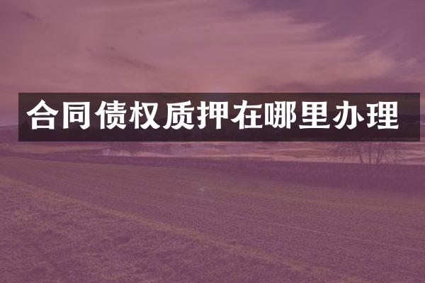 合同债权质押在哪里办理