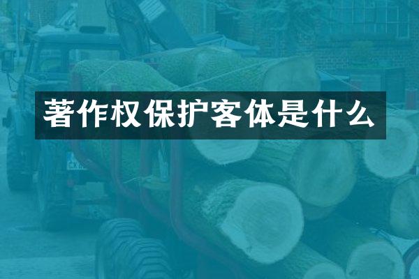 著作权保护客体是什么