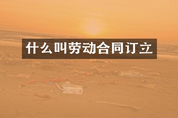 什么叫劳动合同订立