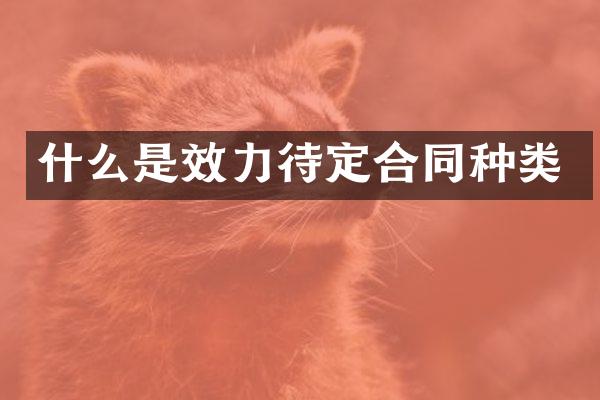 什么是效力待定合同种类