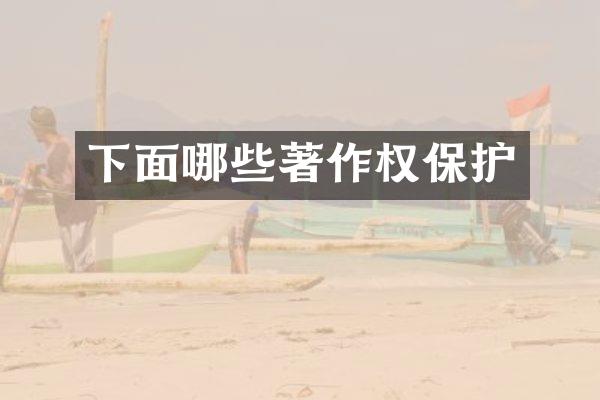 下面哪些著作权保护
