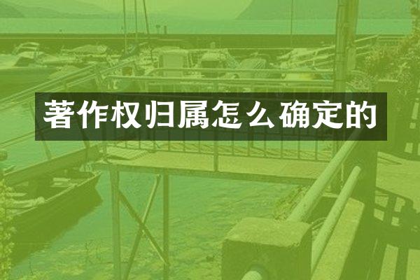 著作权归属怎么确定的