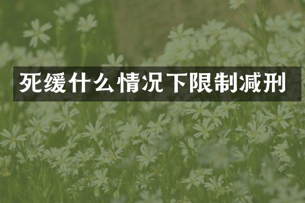 死缓什么情况下限制减刑