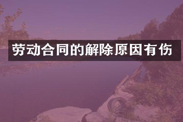 劳动合同的解除原因有伤