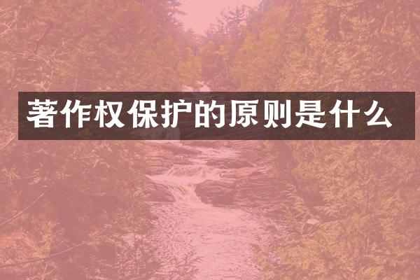 著作权保护的原则是什么