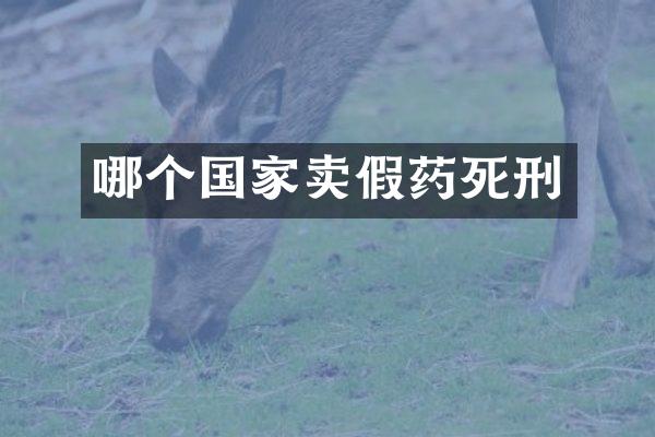 哪个国家卖死刑