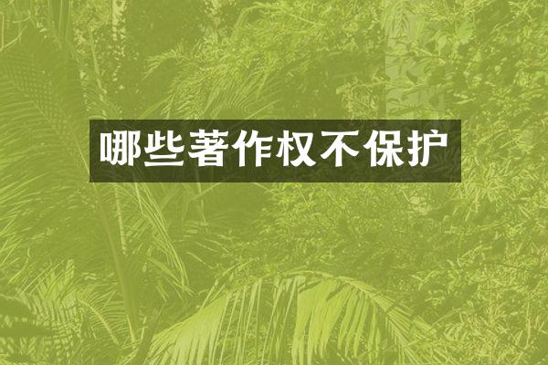 哪些著作权不保护