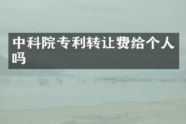 中科院专利转让费给个人吗