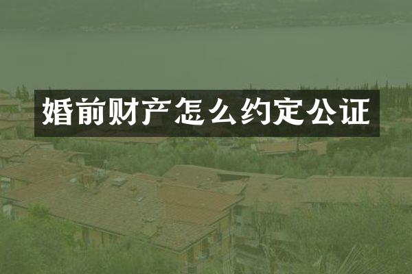 婚前财产怎么约定公证