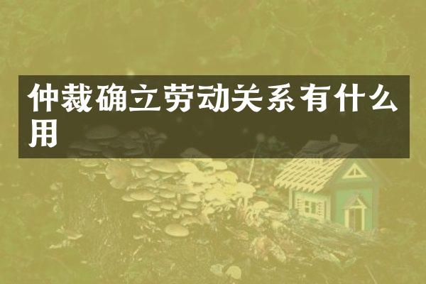 仲裁确立劳动关系有什么用