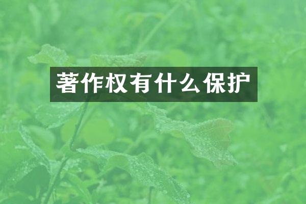 著作权有什么保护