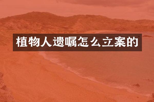 植物人遗嘱怎么立案的