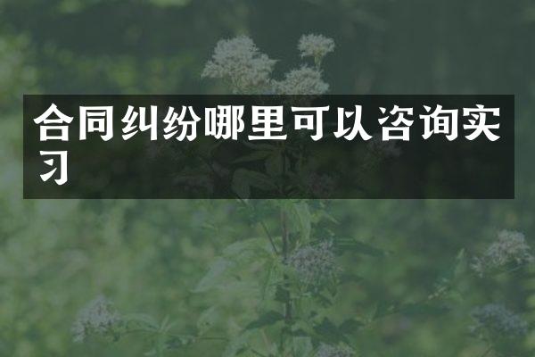 合同纠纷哪里可以咨询实习