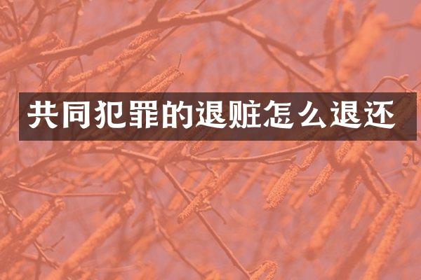 共同犯罪的退赃怎么退还