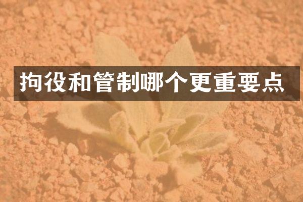 拘役和管制哪个更重要点