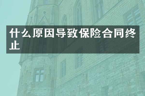 什么原因导致保险合同终止