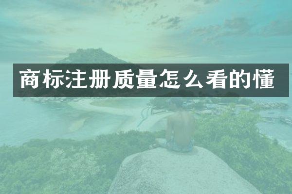 商标注册质量怎么看的懂
