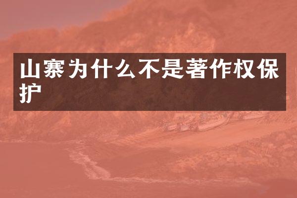 山寨为什么不是著作权保护
