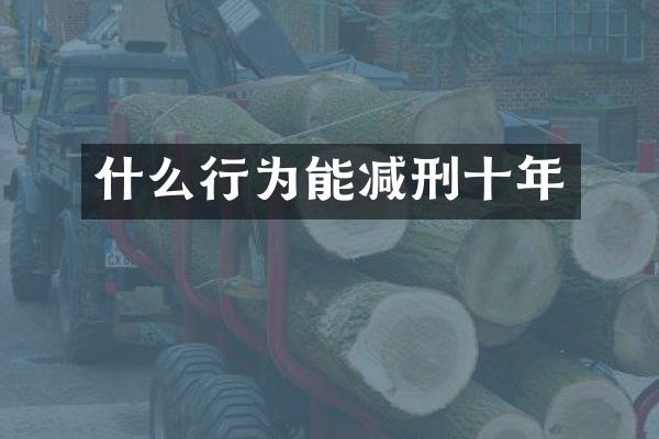 什么行为能减刑十年