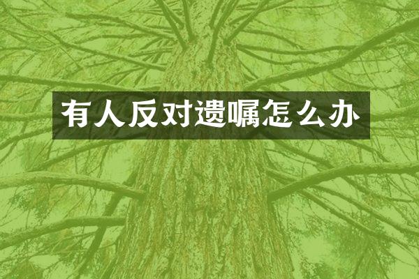 有人反对遗嘱怎么办
