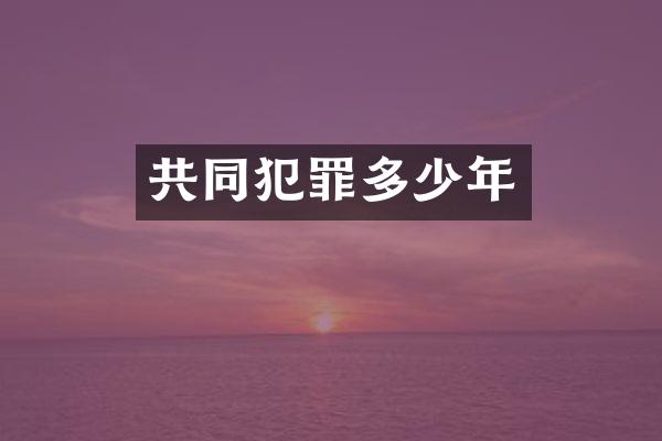 共同犯罪多少年