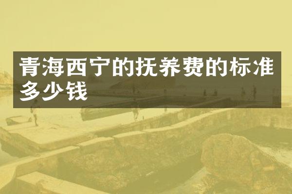 青海西宁的抚养费的标准多少钱