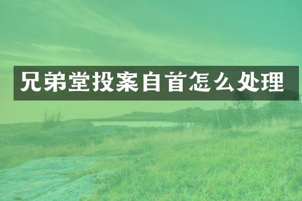 兄弟堂投案自首怎么处理