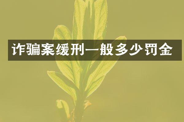 诈骗案缓刑一般多少罚金