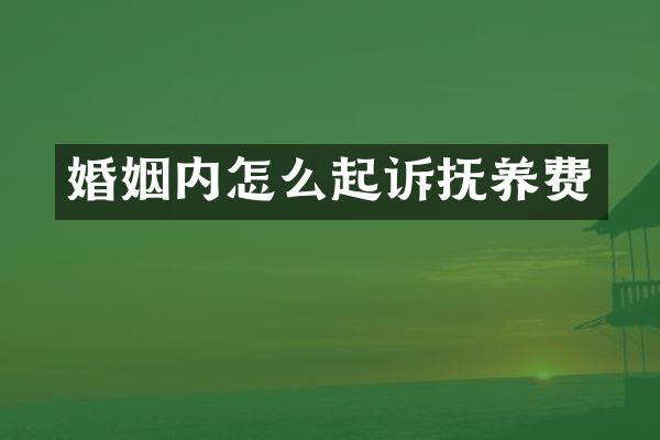 婚姻内怎么起诉抚养费