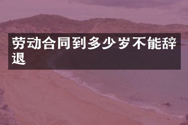 劳动合同到不能辞退