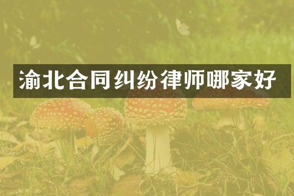 渝北合同纠纷律师哪家好