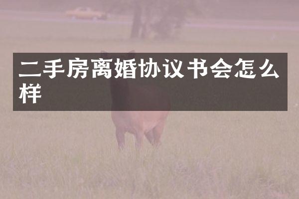 二手房离婚协议书会怎么样