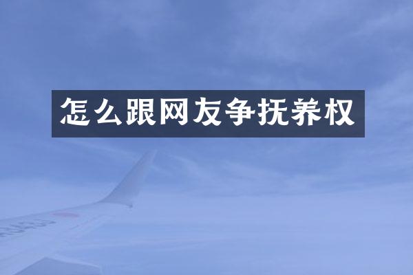怎么跟网友争抚养权