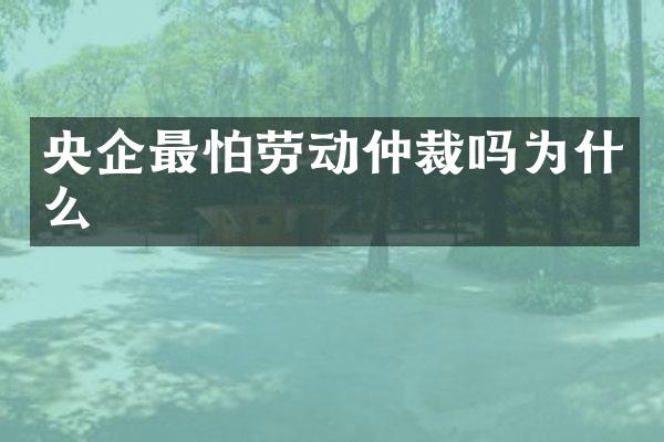 央企最怕劳动仲裁吗为什么