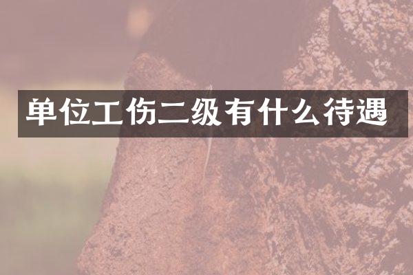 单位工伤二级有什么待遇