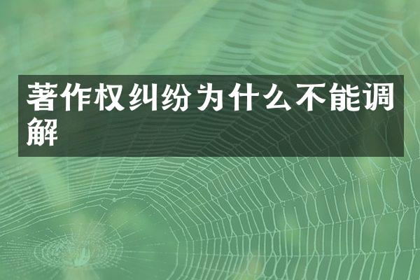 著作权纠纷为什么不能调解