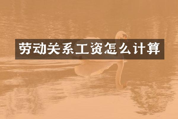 劳动关系工资怎么计算