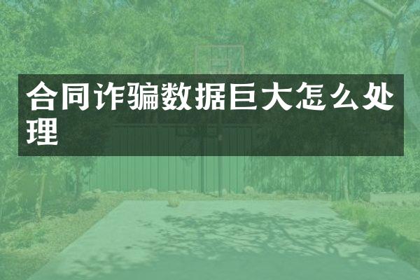 合同诈骗数据巨大怎么处理