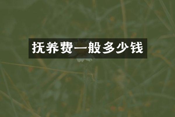 抚养费一般多少钱