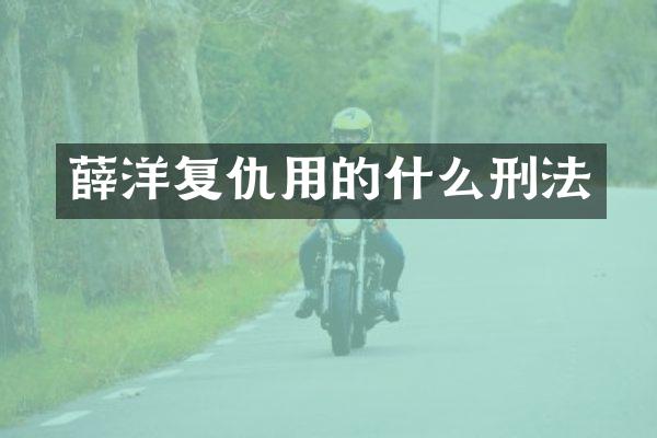薛洋复仇用的什么刑法