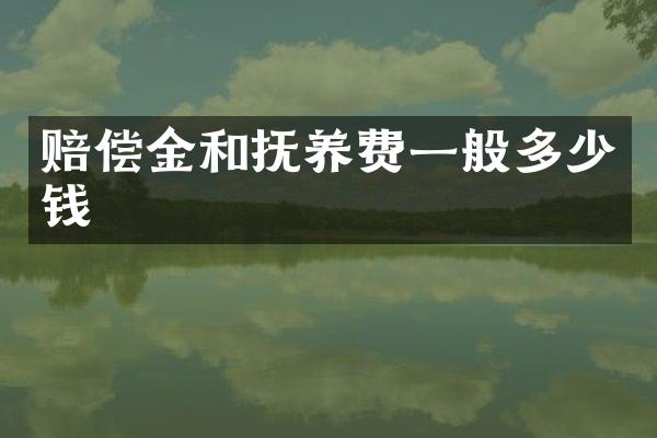 赔偿金和抚养费一般多少钱