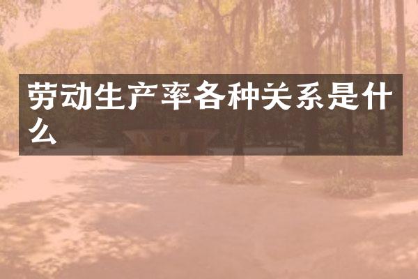 劳动生产率各种关系是什么