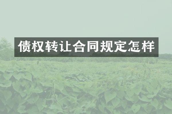 债权转让合同规定怎样