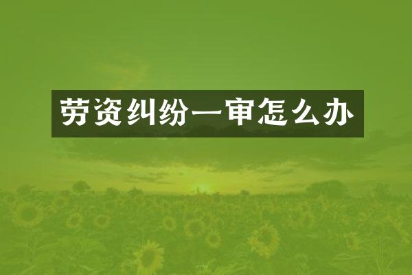 劳资纠纷一审怎么办