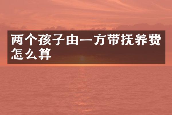 两个孩子由一方带抚养费怎么算