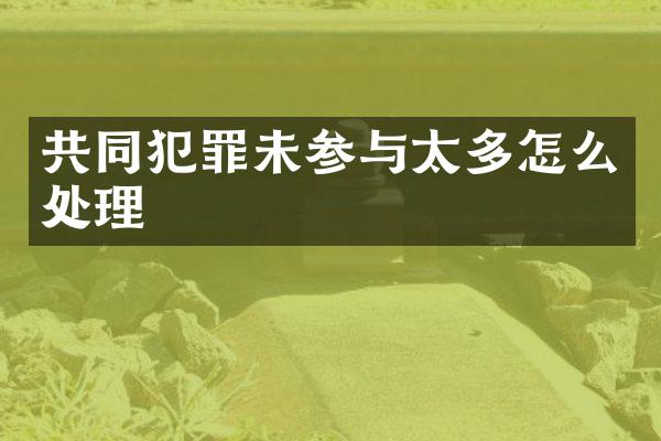 共同犯罪未参与太多怎么处理
