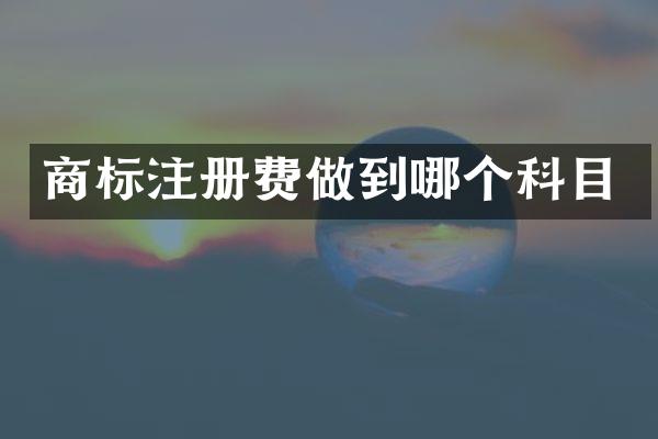 商标注册费做到哪个科目