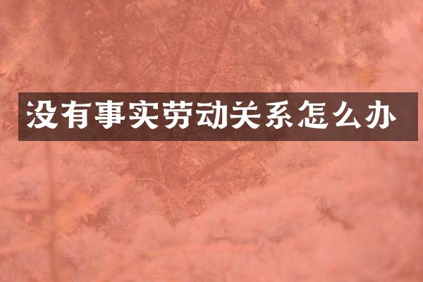 没有事实劳动关系怎么办