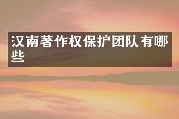 汉南著作权保护团队有哪些